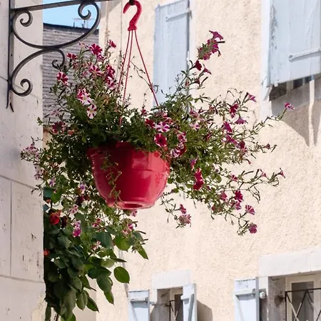 hôtel Piellenia Tardets-Sorholus Extérieur photo